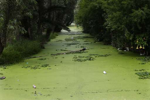 Sewage system failures plague Mexican tourist destinations