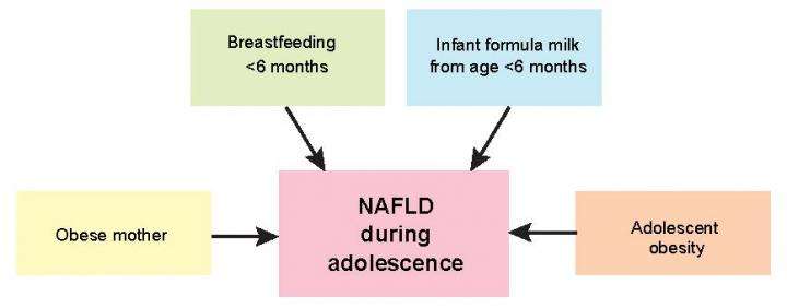 Short duration of breastfeeding and maternal obesity linked to fatty liver in adolescents