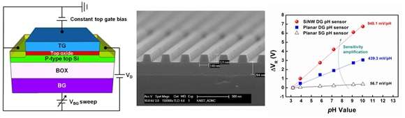 Silicon nanowires fabricated via imprinting technology could be the future for transistor-based biosensors