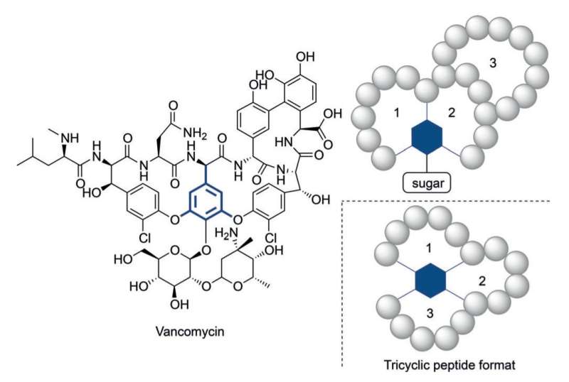 Simple one-pot synthesis of druggable tricyclic peptides