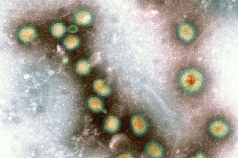 Simple strategy could lead to a “universal” flu vaccine
