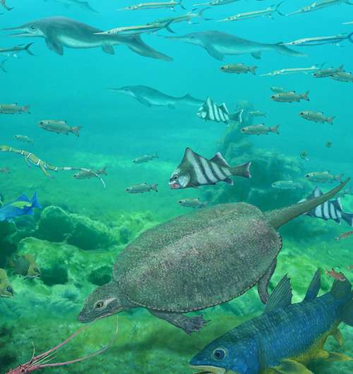 Size not important for fish in the largest mass extinction of all time