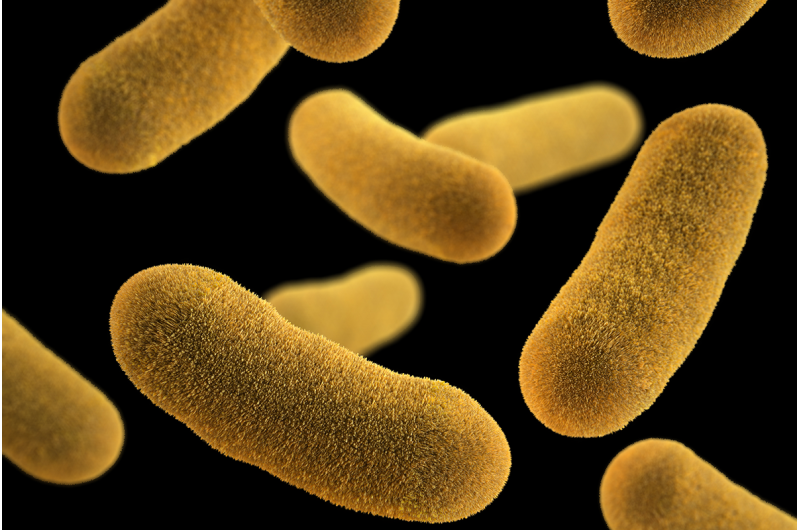Slowing dangerous bacteria may be more effective than killing them, researchers report