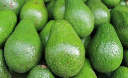Smashing the avocado production bottleneck