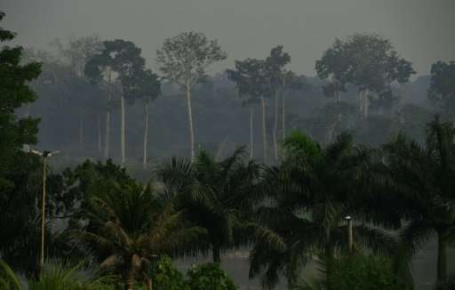 Smoke from deforested areas hangs in the air near Labrea in the Western Amazon region of Brazil