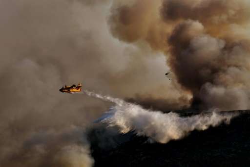 Soaring temperatures and tinder-dry forest floors across southern Europe have led to a rash of devastating wild fires