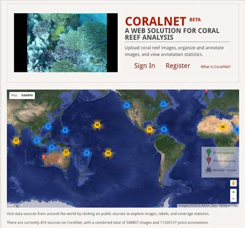 Software system labels coral reef images in record time