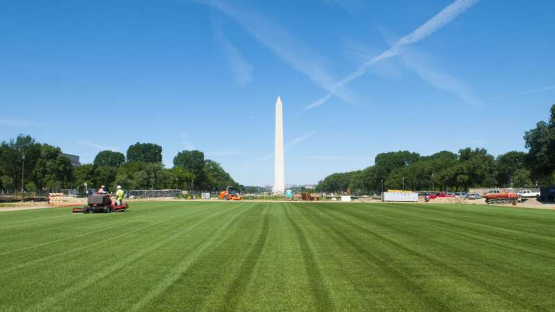 Soil microbes persist through National Mall facelift