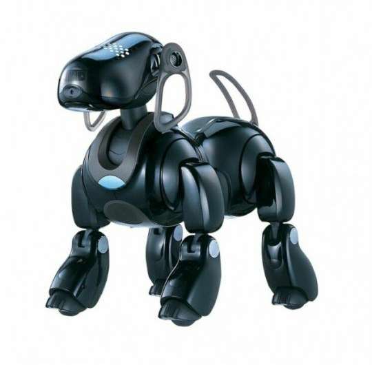 Sony’s Aibo seemed tough act to follow but stay tuned