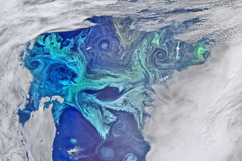 Southern Ocean drives massive bloom of tiny phytoplankton