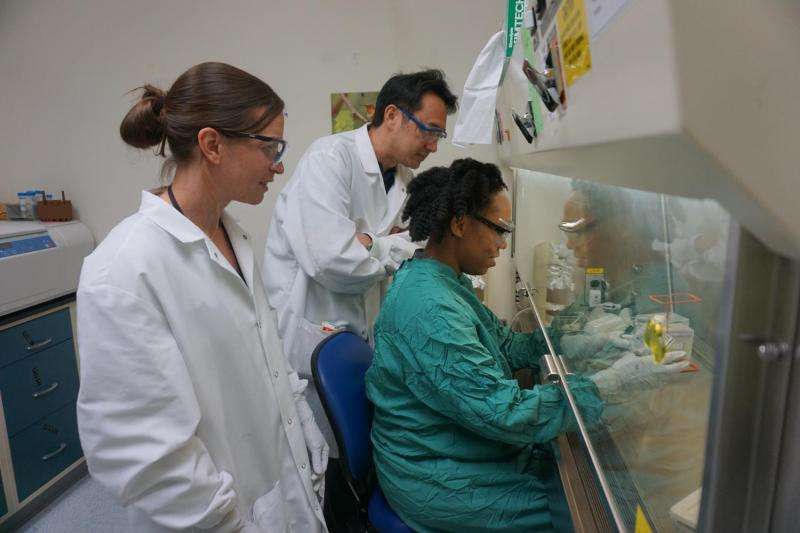 SR probe of Zika looks into ‘rebound virus’