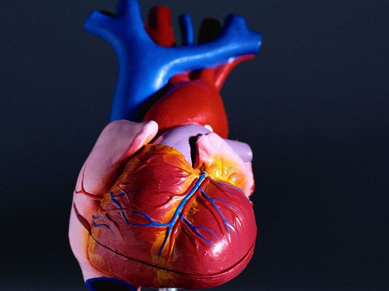 Stem cell factor tied to reduced risk of cardiac events, death