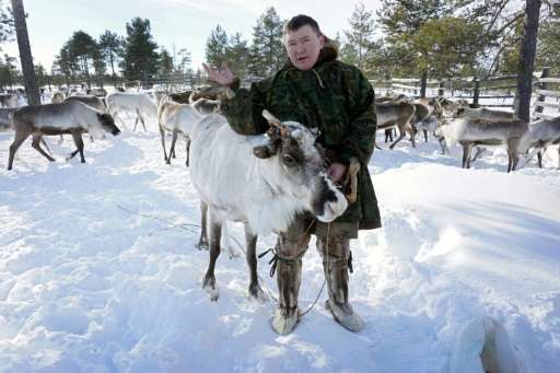 Stepan Sopochin speaks during an AFP interview amidst his reindeer herd outside Kogalym in the Siberian Khanty-Mansi region