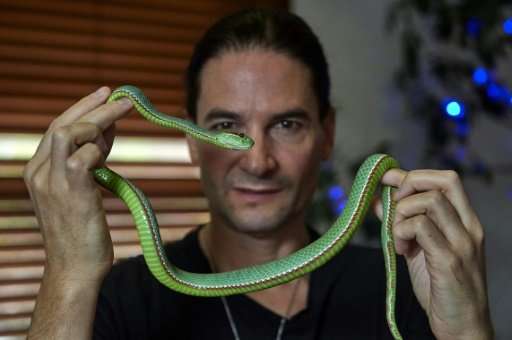 Steve Ludwin handles a Pope's Pit Viper at his apartment in London