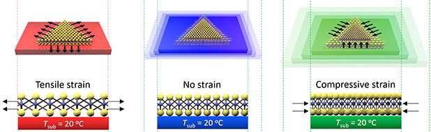 Stretching to perfection of 2-D semiconductors