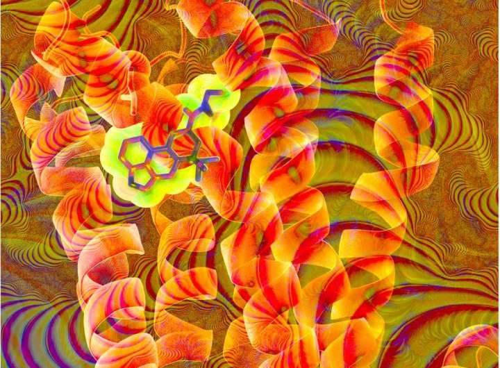 Structure of LSD and its receptor explains its potency