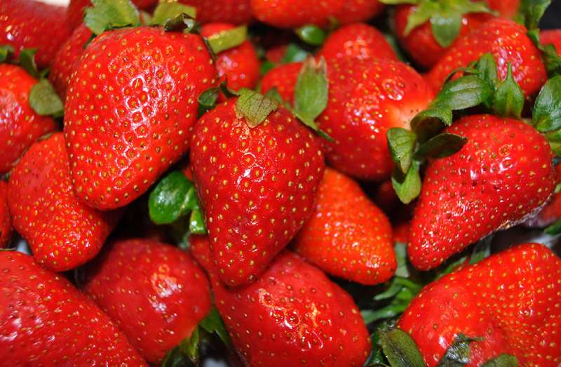 Study on mice demonstrates the action of strawberries against breast cancer