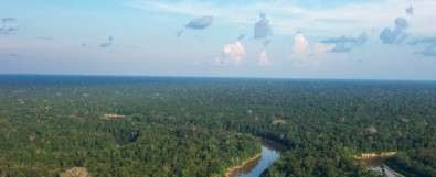 Study reinforces the Amazon forest's importance in regulating atmospheric chemistry