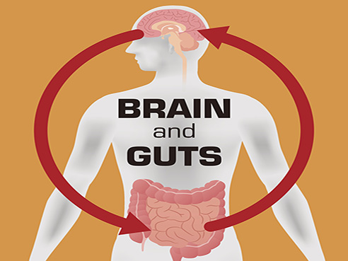 Study shows link between microbiome in the gut and parkinson’s