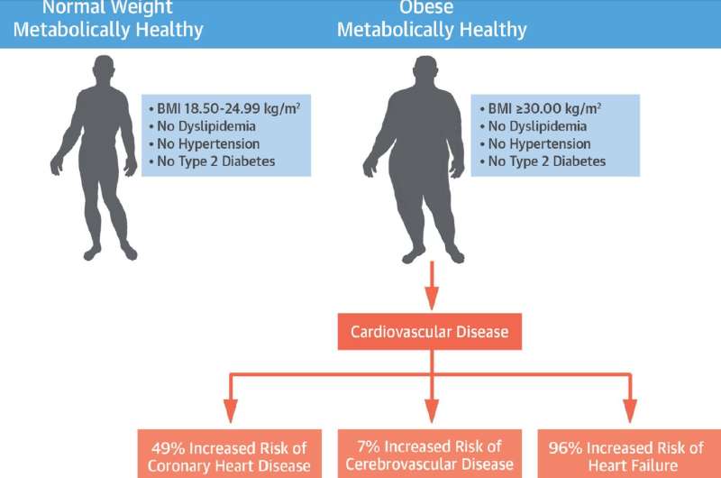 Study shows so-called 'healthy obesity' is harmful to cardiovascular health