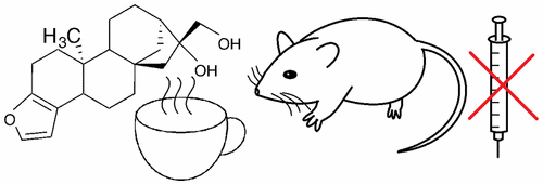 Substance in coffee delays onset of diabetes in laboratory mice