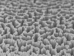Supercritical carbon dioxide delivers protective molecules to semiconductor surfaces