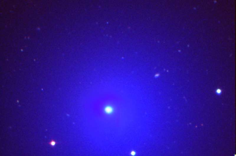 Supernova-hunting team finds comet with aid of amateur astronomer