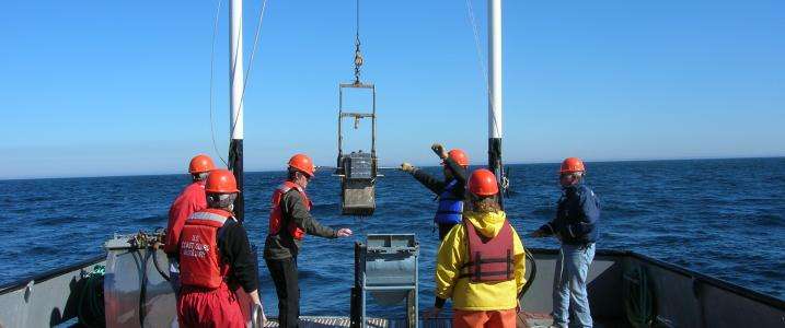 Surveying sea floor animals for offshore renewable energy
