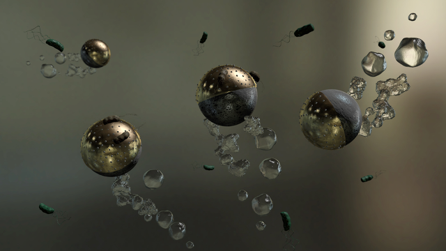 Swimming microbots can remove pathogenic bacteria from water (video)