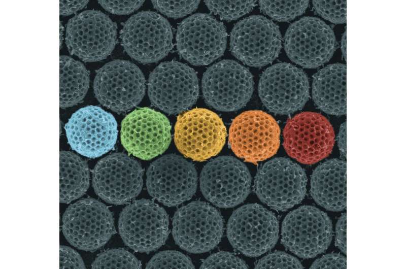Synthetic material acts like an insect cloaking device