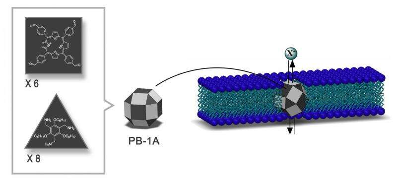 Synthetic nanochannels for iodide transport