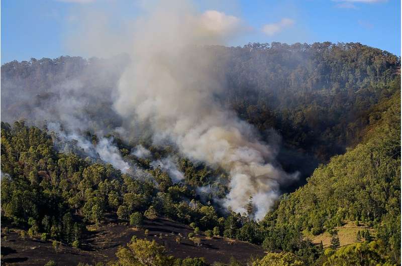 Tackling wildfires in Mediterranean forests