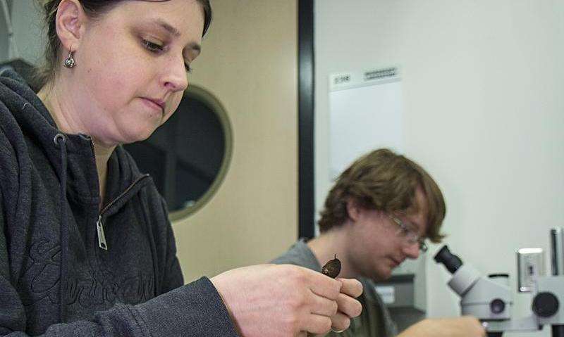 Tagged snails to help researchers track snail population growth