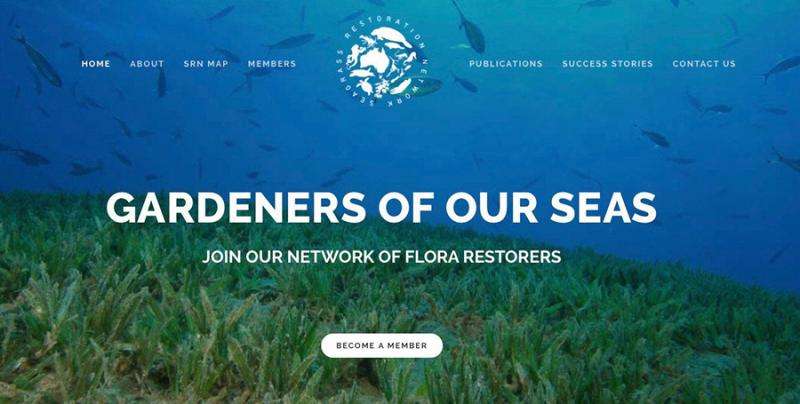 Taking the battle to save seagrass online