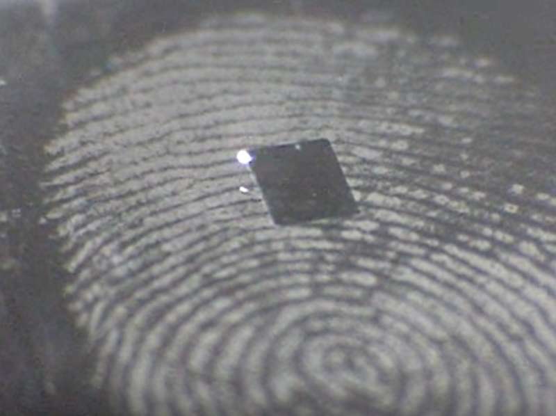 Taking the guesswork out of forensic analysis of fingermarks