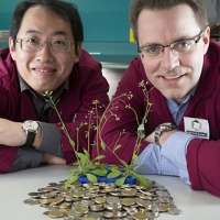 Teaching plants to be better spenders