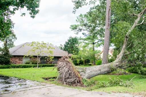 The aftermath of monster storm Harvey is seen everywhere in Orange, Texas as huge uprooted trees lay across yards and roadways a