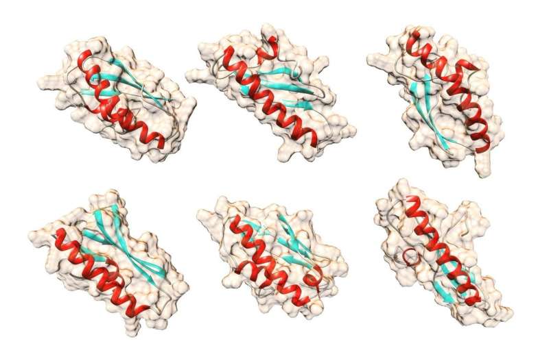 The birth of a new protein