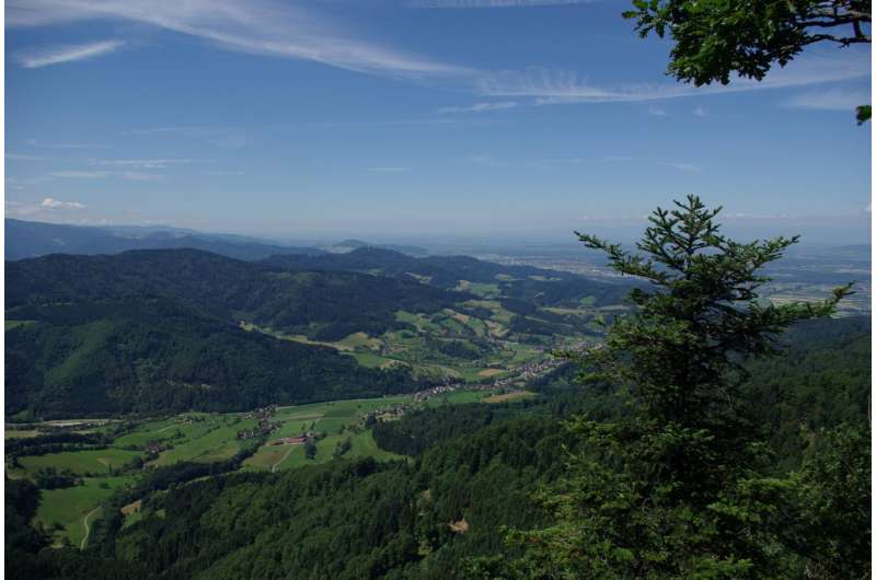 The black forest and climate change