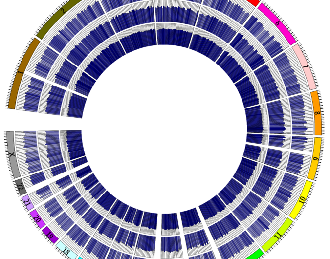 The complete epigenomes of the most frequent tumors, unveiled