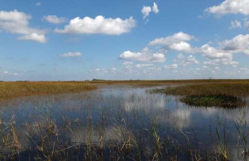 The Comprehensive Everglades Restoration Plan, the world's largest ecosystem restoration project, has made little progress since