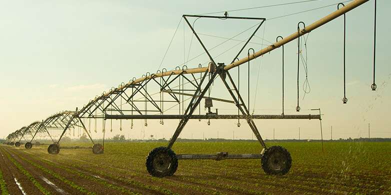 The cooling effect of agricultural irrigation