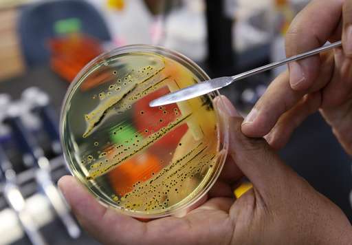 The dirty dozen: UN issues list of 12 most worrying bacteria