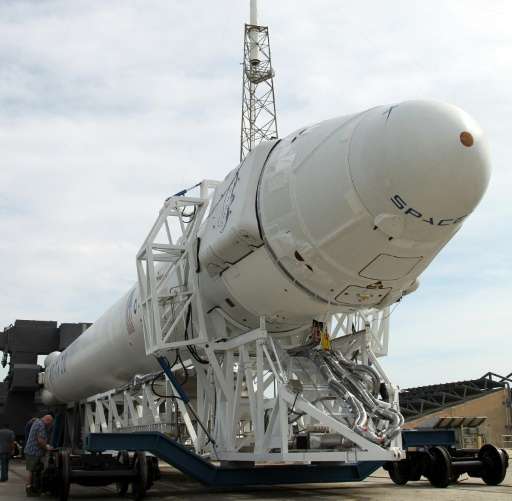 The Dragon cargo capsule, seen attached to a Falcon 9 rocket, both made by SpaceX, at Cape Canaveral in Florida