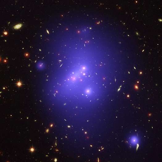 The evolution of massive galaxy clusters
