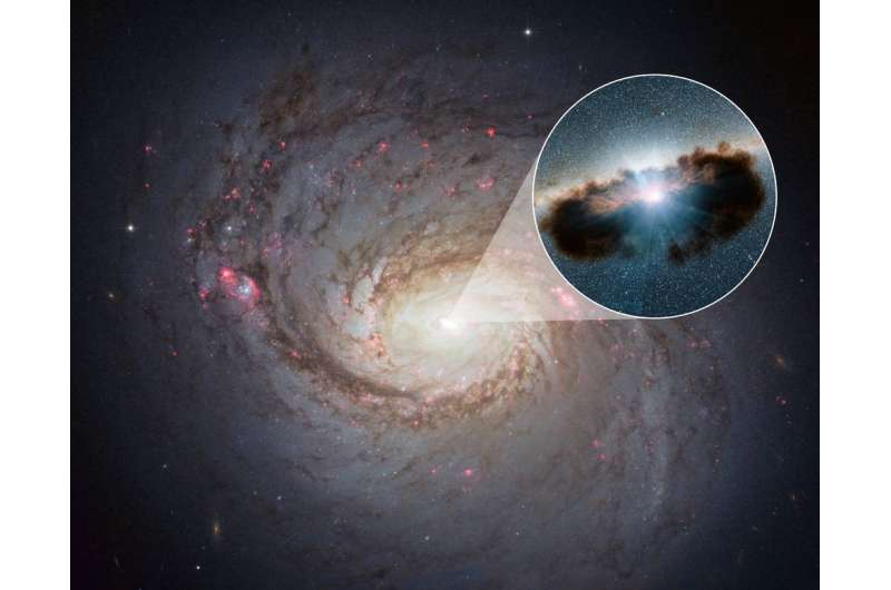 The material that obscures supermassive black holes