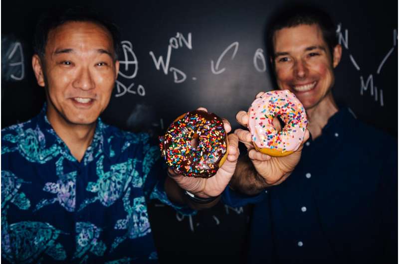 The math of doughnuts: 'Moonshine' sheds light on elliptic curves