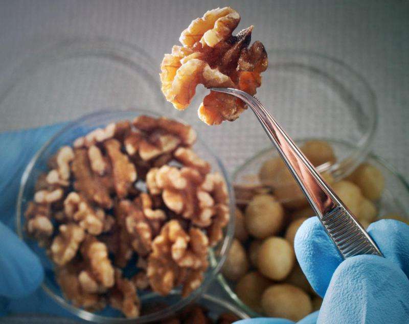 The molecular mechanisms of the cancer-protective effect of nuts