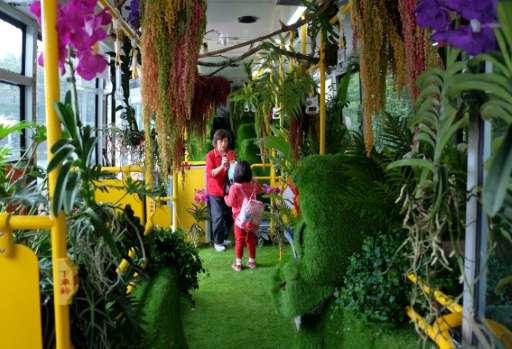 The ordinary single-deck city bus has been converted into a travelling green house decorated with orchids, ginger lilies and a v