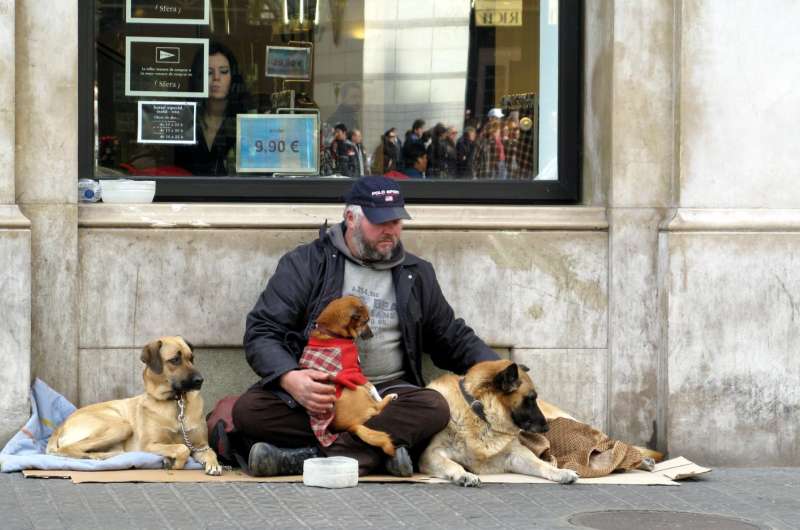 The role of animal companions in the lives of homeless people